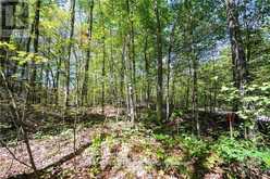 LOT #20 CRESTVIEW DRIVE | Greater Madawaska Ontario | Slide Image Four
