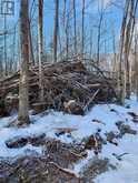 LOT #20 CRESTVIEW DRIVE | Greater Madawaska Ontario | Slide Image Nine