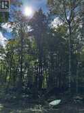 LOT #20 CRESTVIEW DRIVE | Greater Madawaska Ontario | Slide Image Twelve