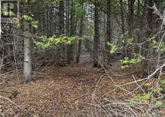 0 ROCKSPRINGS ROAD | Augusta Ontario | Slide Image Three