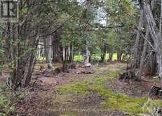 0 ROCKSPRINGS ROAD | Augusta Ontario | Slide Image Four