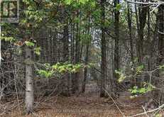 0 ROCKSPRINGS ROAD | Augusta Ontario | Slide Image Five