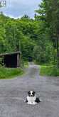 466 STEWARTVILLE ROAD W | Lanark Highlands Ontario | Slide Image Forty-one
