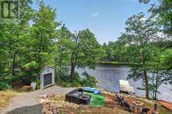 1049 CROTCH LAKE TRAIL | Arden Ontario | Slide Image Forty-four