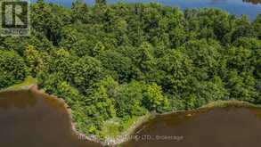 LOT 124 KEDEY ISLAND | Fitzroy Ontario | Slide Image Nineteen
