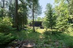 6603 BIG RIDEAU ISLAND | Rideau Lakes Ontario | Slide Image Thirty-six