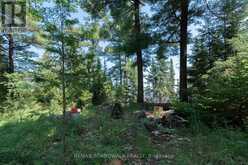 6603 BIG RIDEAU ISLAND | Rideau Lakes Ontario | Slide Image Thirty-eight