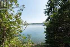 6603 BIG RIDEAU ISLAND | Rideau Lakes Ontario | Slide Image Forty-one