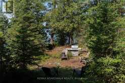 6603 BIG RIDEAU ISLAND | Rideau Lakes Ontario | Slide Image Forty-two