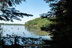 6603 BIG RIDEAU ISLAND | Rideau Lakes Ontario | Slide Image Forty-five