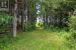 4655 APPLETON SIDE ROAD | Mississippi Mills Ontario | Slide Image Forty-two
