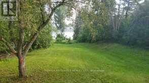 106 COUNTY RD 9 ROAD | Alfred and Plantagenet Ontario | Slide Image Five