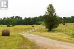 624 WILDLIFE ROAD | Killaloe, Hagarty and Richards Ontario | Slide Image Thirteen