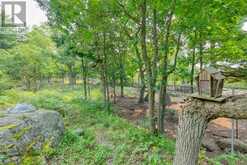 19 WEST DEVIL LK LANE | Inverary Ontario | Slide Image Nineteen