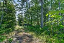 2221A GRATTON TRAIL | Whitewater Region Ontario | Slide Image Six