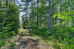 2221A GRATTON TRAIL | Whitewater Region Ontario | Slide Image Seven