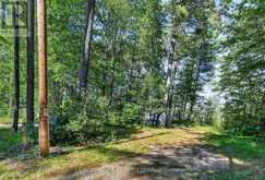 2221A GRATTON TRAIL | Whitewater Region Ontario | Slide Image Eight