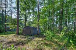 2221A GRATTON TRAIL | Whitewater Region Ontario | Slide Image Nine