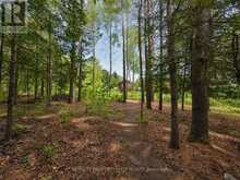 515 GRAPHITE BAY ROAD | Greater Madawaska Ontario | Slide Image Three