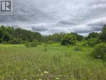 PT LT 26 CON 8 PR174599 BUCKWHEAT ROAD | Edwardsburgh-Cardinal Ontario | Slide Image Six