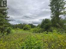 PT LT 26 CON 8 PR174599 BUCKWHEAT ROAD | Edwardsburgh-Cardinal Ontario | Slide Image Seven
