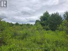 PT LT 26 CON 8 PR116457 BUCKWHEAT ROAD | Edwardsburgh-Cardinal Ontario | Slide Image Six