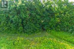 LOT 3 KYLE ROAD | Augusta Ontario | Slide Image Thirteen
