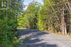 LOT 3 KYLE ROAD | Augusta Ontario | Slide Image Three