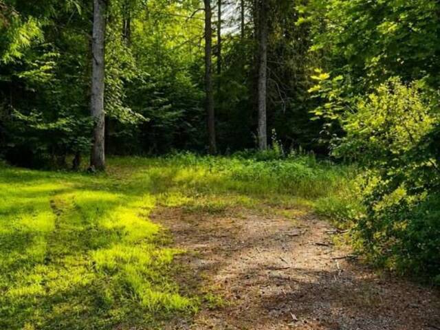 5045 OPEONGO ROAD Ottawa Ontario, K0A 3M0 - Vacant Land For Sale