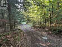 0 OLD GOVERNMENT ROAD | Lanark Ontario | Slide Image Seven