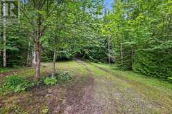 0 OLD GOVERNMENT ROAD | Lanark Ontario | Slide Image Nine