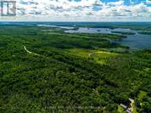 99 OLD KINGSTON ROAD | Rideau Lakes Ontario | Slide Image Forty-three