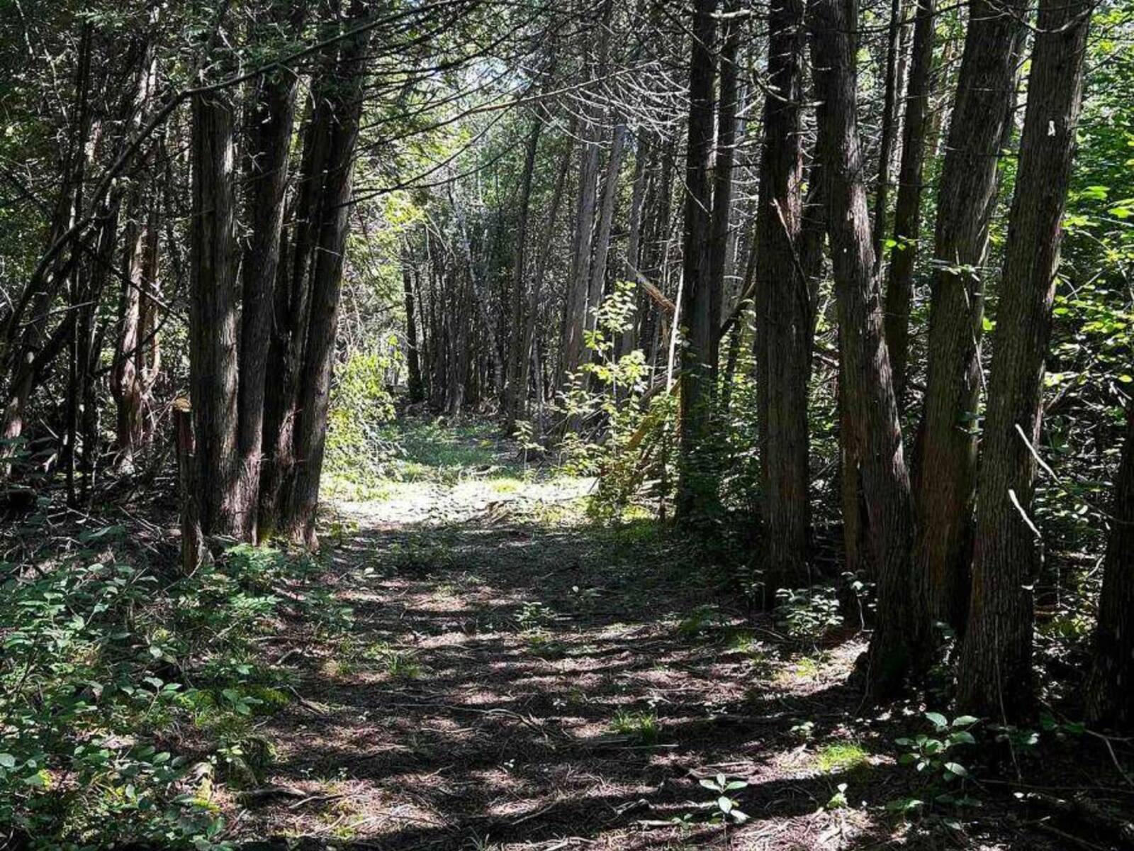 00 KERFORD ROAD, Merrickville, Ontario K0G 1N0