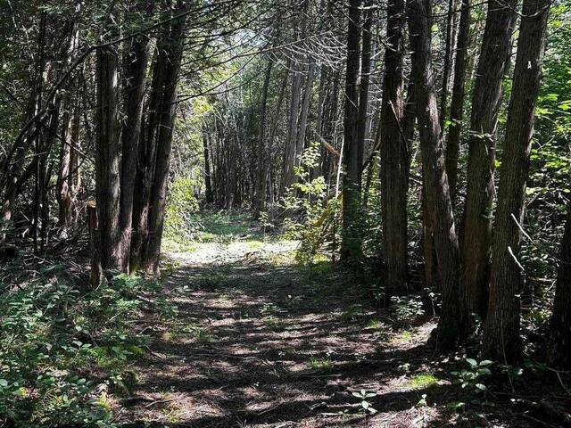00 KERFORD ROAD Merrickville Ontario, K0G 1N0 - Vacant Land For Sale