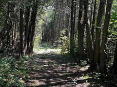 00 KERFORD ROAD Merrickville Ontario, K0G 1N0