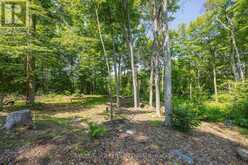 223 SHADY MAPLE ROAD | Greater Madawaska Ontario | Slide Image Eleven