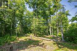 223 SHADY MAPLE ROAD | Greater Madawaska Ontario | Slide Image Twelve