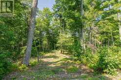 223 SHADY MAPLE ROAD | Greater Madawaska Ontario | Slide Image Thirteen