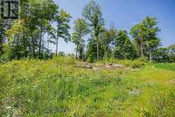 223 SHADY MAPLE ROAD | Greater Madawaska Ontario | Slide Image Fifteen