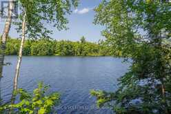 223 SHADY MAPLE ROAD | Greater Madawaska Ontario | Slide Image Seven