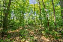 223 SHADY MAPLE ROAD | Greater Madawaska Ontario | Slide Image Nine