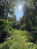 1 LOT 1 CONCESSION 2 PART 4 BOUNDARY CONCESSION | Alfred and Plantagenet Ontario | Slide Image Ten