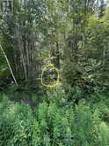 1 LOT 1 CONCESSION 2 PART 4 BOUNDARY CONCESSION | Alfred and Plantagenet Ontario | Slide Image Eleven