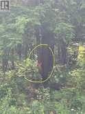 1 LOT 1 CONCESSION 2 PART 4 BOUNDARY CONCESSION | Alfred and Plantagenet Ontario | Slide Image Twelve