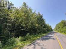 1 LOT 1 CONCESSION 2 PART 4 BOUNDARY CONCESSION | Alfred and Plantagenet Ontario | Slide Image One