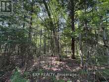 1 LOT 1 CONCESSION 2 PART 4 BOUNDARY CONCESSION | Alfred and Plantagenet Ontario | Slide Image Three