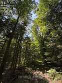1 LOT 1 CONCESSION 2 PART 4 BOUNDARY CONCESSION | Alfred and Plantagenet Ontario | Slide Image Four