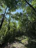 1 LOT 1 CONCESSION 2 PART 4 BOUNDARY CONCESSION | Alfred and Plantagenet Ontario | Slide Image Five