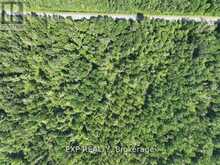 1 LOT 1 CONCESSION 2 PART 4 BOUNDARY CONCESSION | Alfred and Plantagenet Ontario | Slide Image Nine
