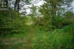 16 GREY OWL ROAD | Tay Valley Ontario | Slide Image Four
